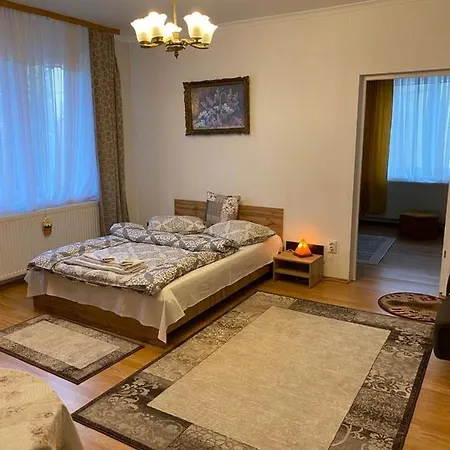 Clasicel Pas Apartment Brasov