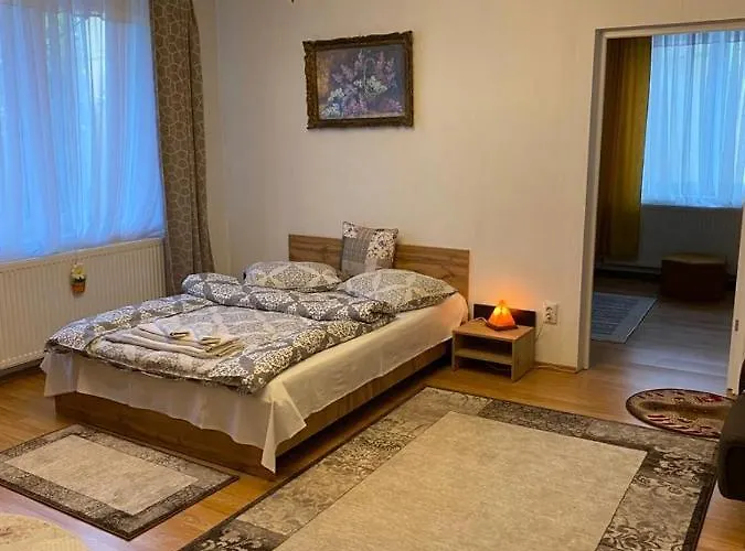 Clasicel Pas Apartment Brasov